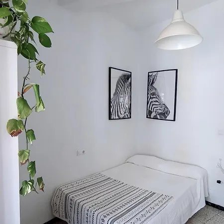 בית אירוח Preciosa En Pleno Centro De Ideal Hacer Turismo Y Vivir La Ciudad סביליה