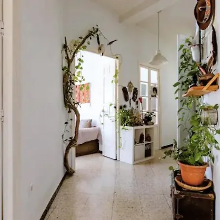 Preciosa En Pleno Centro De Ideal Hacer Turismo Y Vivir La Ciudad בית אירוח *